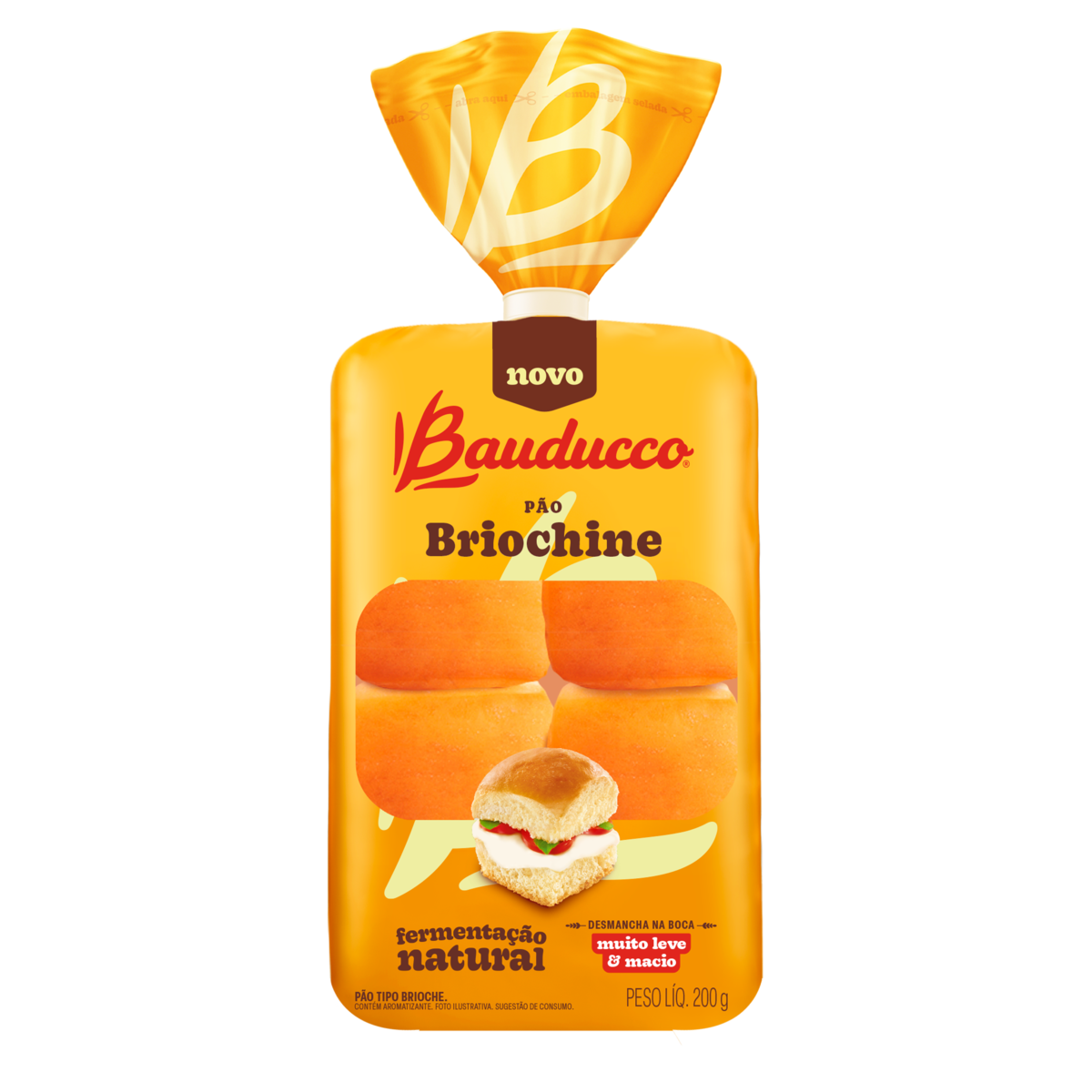 Bauducco Panettone